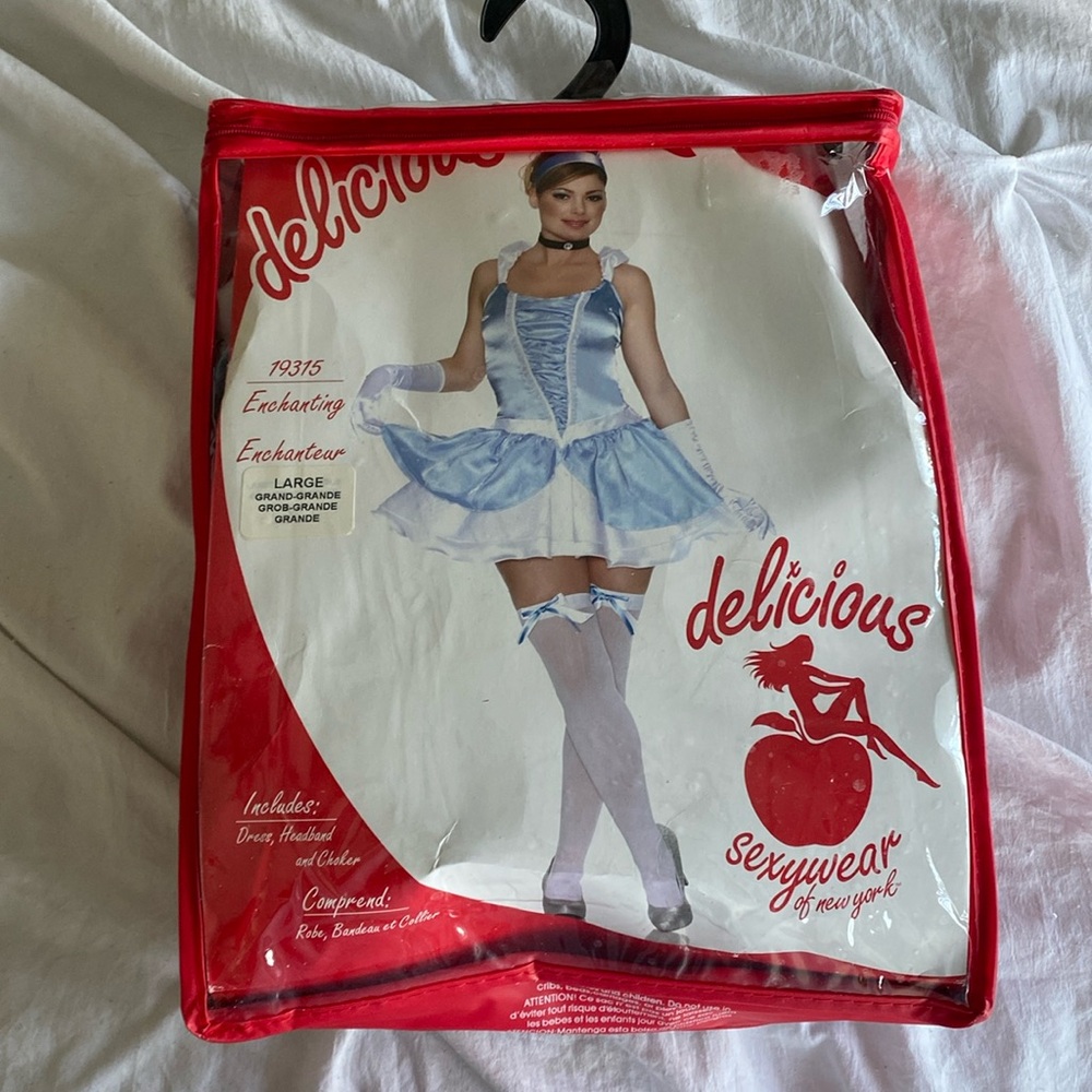Cinderella costume